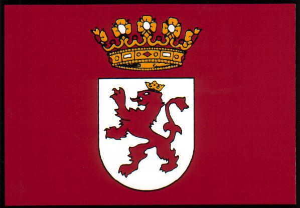 Bandeira de Llión